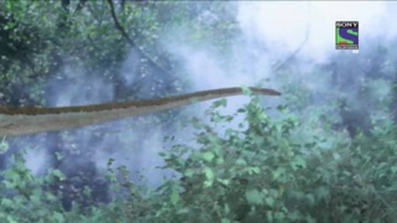 Jurassic Jazeera