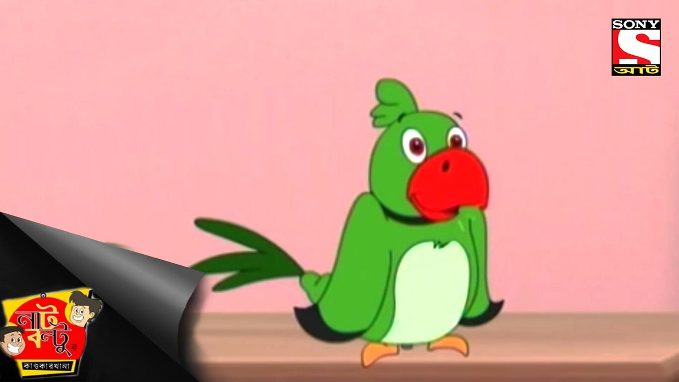 The Toy Parrot