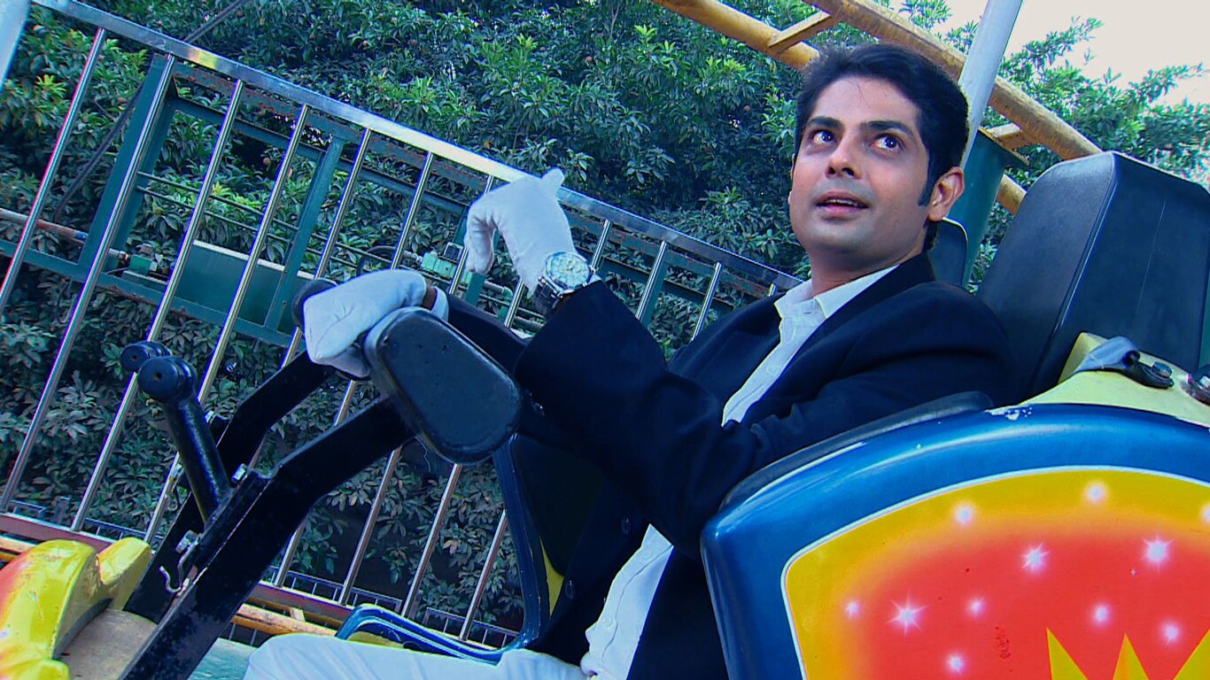 Roller Coaster