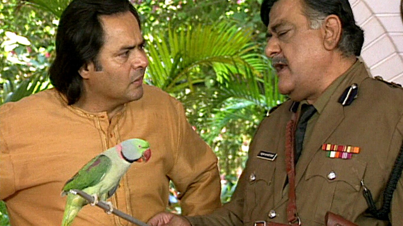 Parrot Goes To Parrot Astrologer