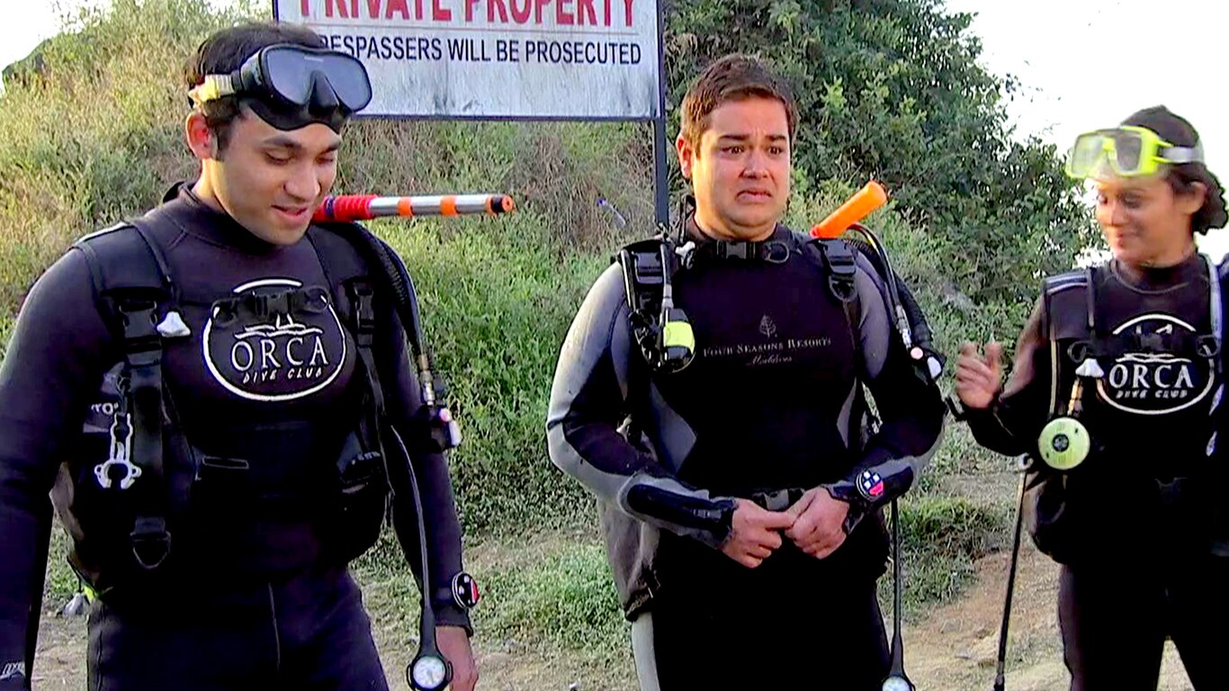 Piranha Fish Attack