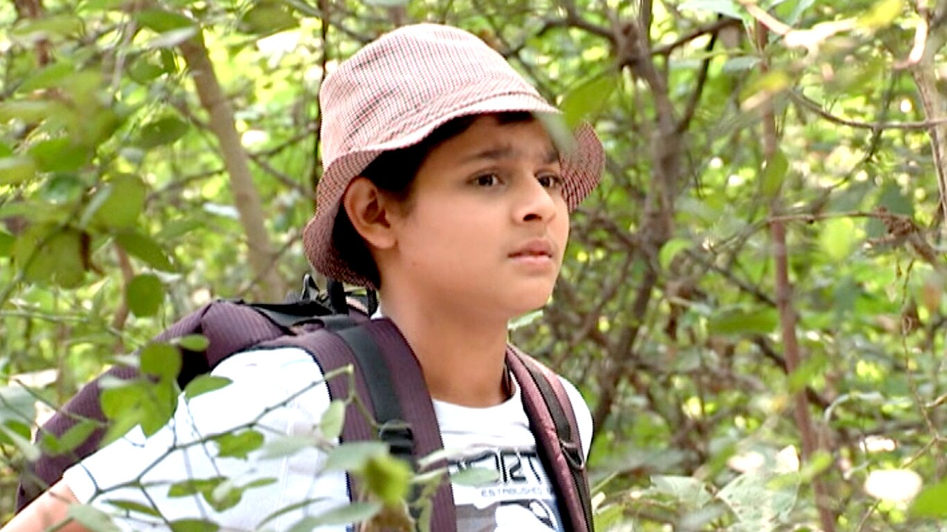 Mayaabi Gaach