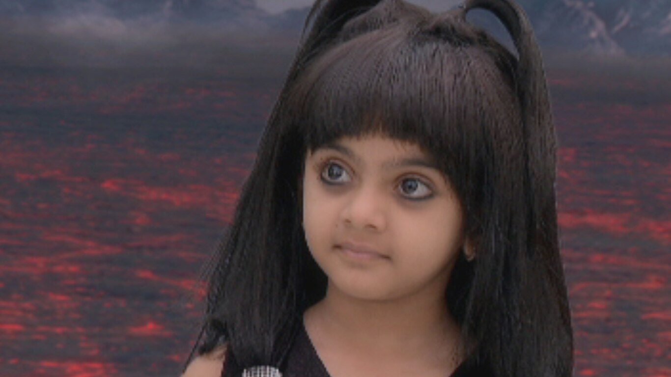 Chhaya's Plan