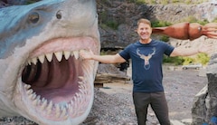 https://images.slivcdn.com/landscape_thumb/show_bbc_deadly_predators_ep01_Landscape_thumb.jpg?h=138&w=240&q=high