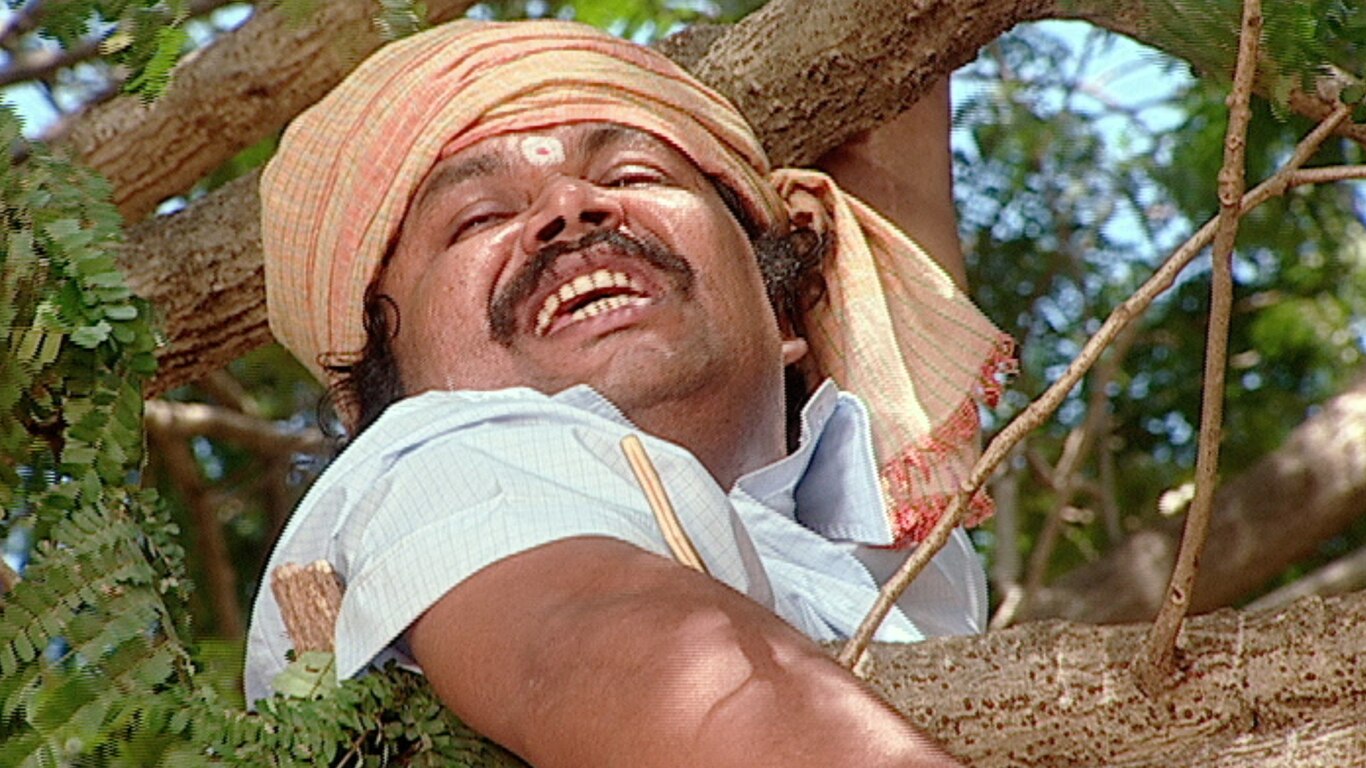 The Animals In Chidiya Ghar