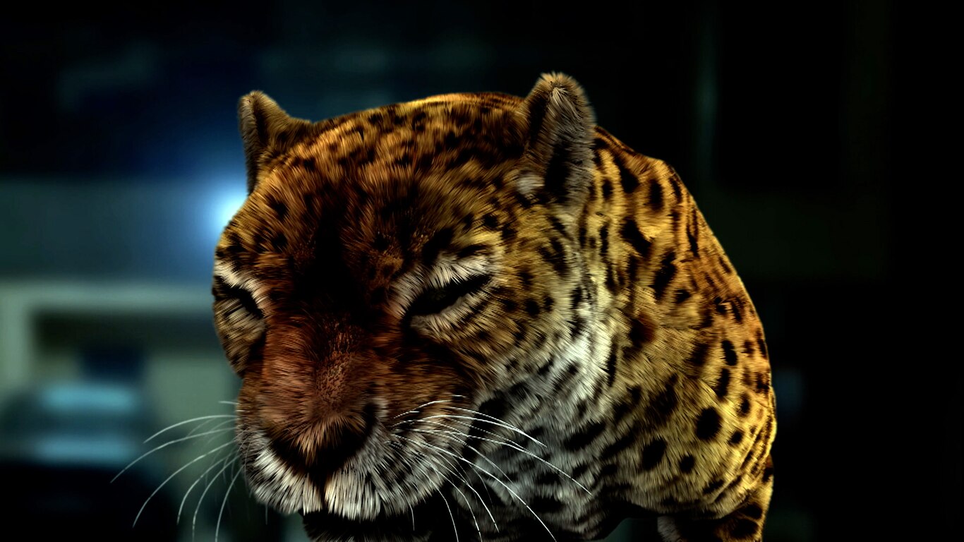 Leopards In Sai Darshan