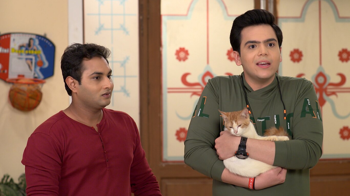 Taarak Mehta Ka Ooltah Chashmah – House For Kitty