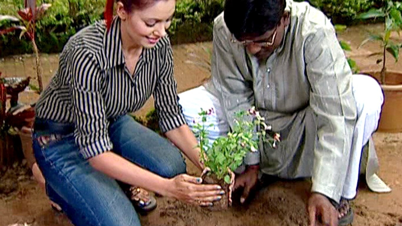 Taarak Mehta Ka Ooltah Chashmah – The Punishment