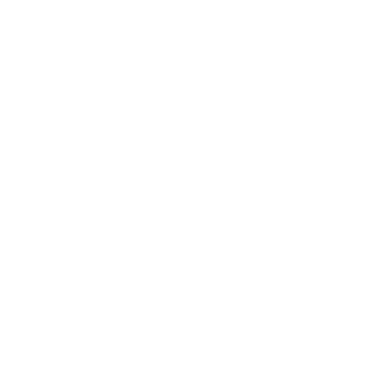 Charlie's Angels