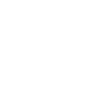 Freedom Fight