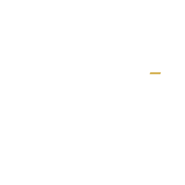 UFC 2020-21