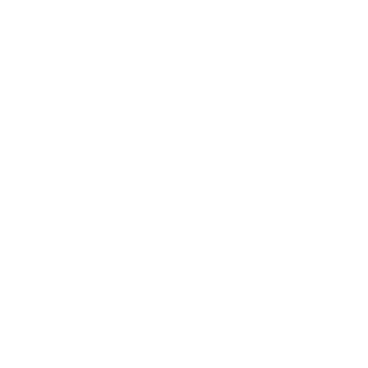 Soul Surfer