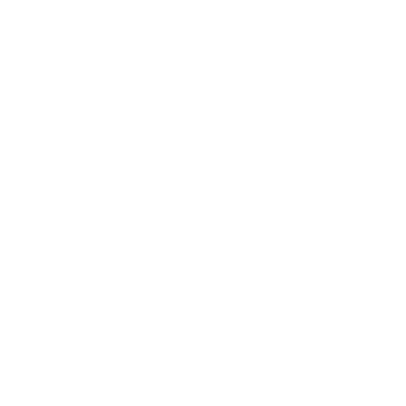 The Boxing Day Tsunami