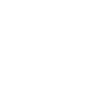 The Walk