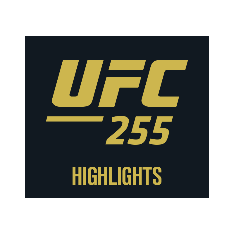 UFC 2020-21 logo