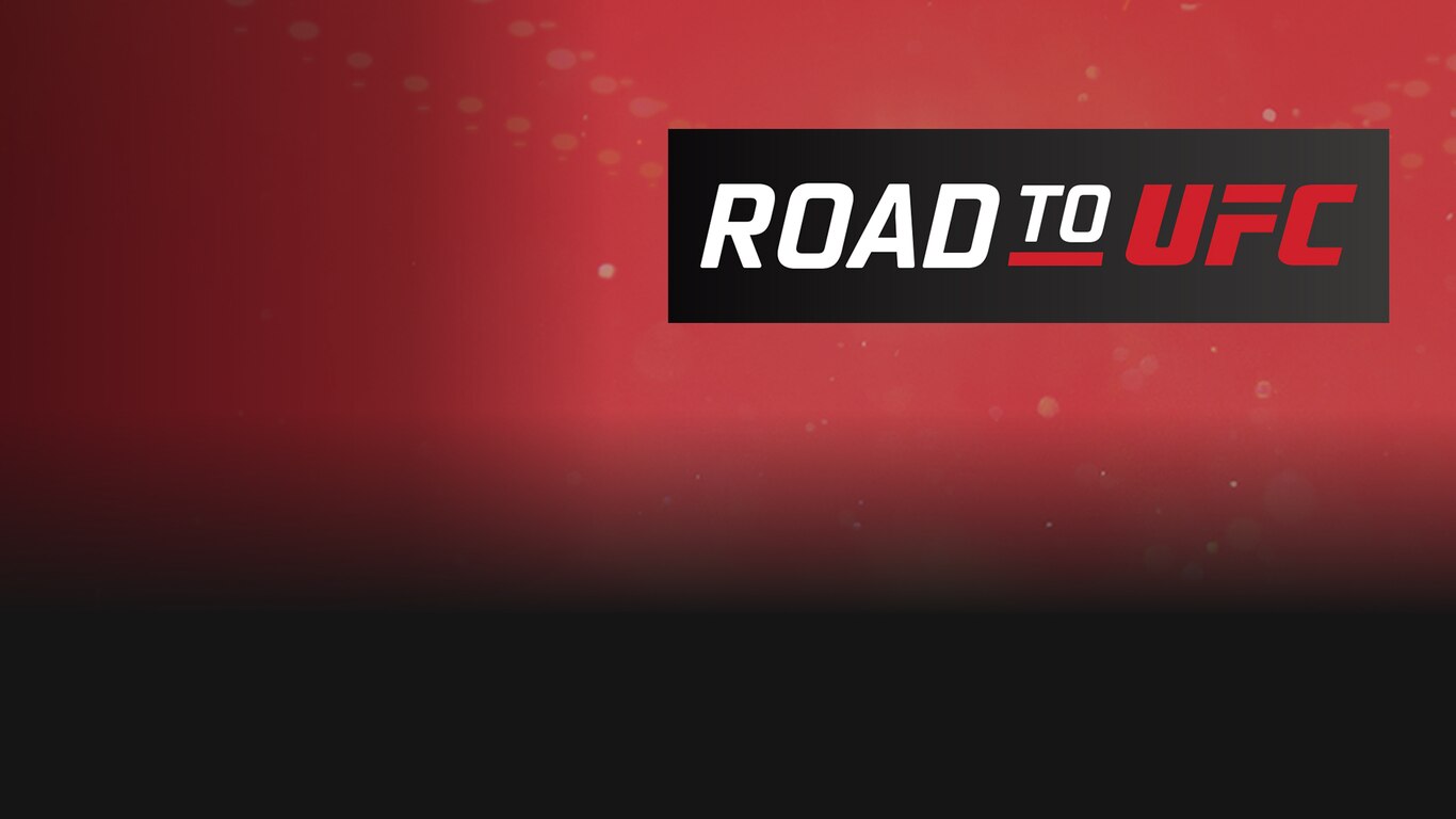 Road to UFC