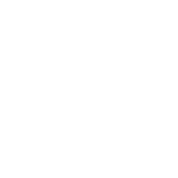 UFC 2020-21