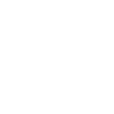 UFC 2020-21
