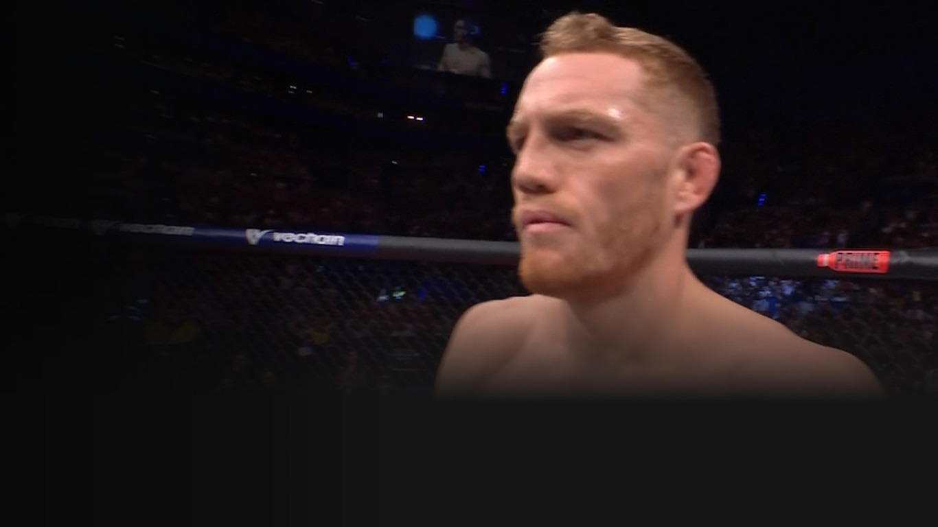 UFC 2022-23