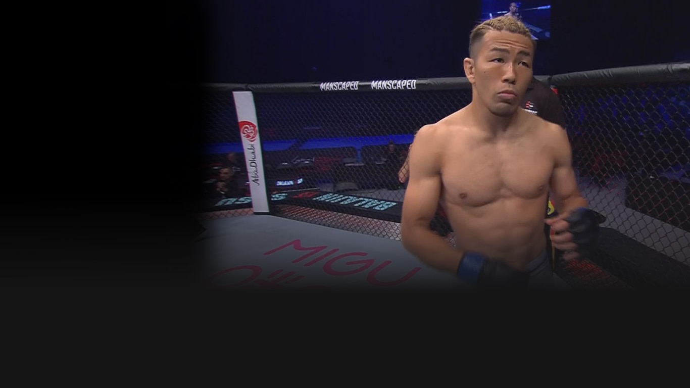 UFC 2022-23