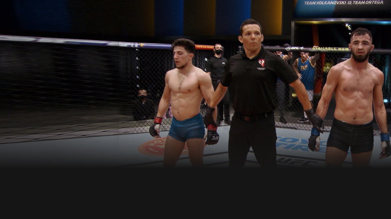 UFC 2020-21