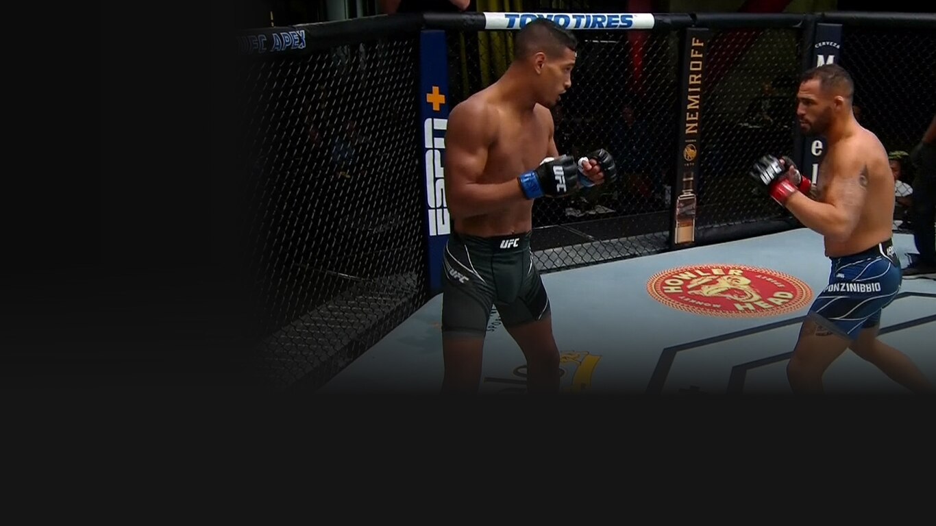 Ultimate Guide To UFC