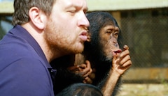 https://images.slivcdn.com/videoasset_images/baby_chimp_rescue_ep01_dispatch_landscape_thumb.jpg?h=138&w=240&q=high
