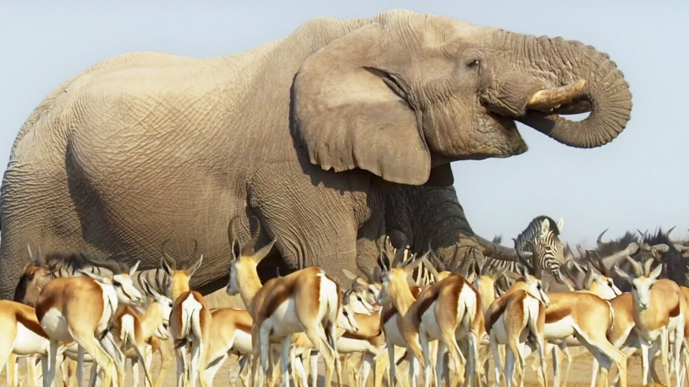 PLANET EARTH II - Deserts