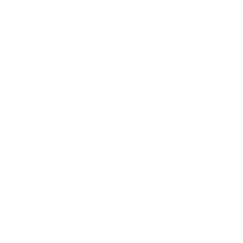 Bundesliga 2024-25 logo