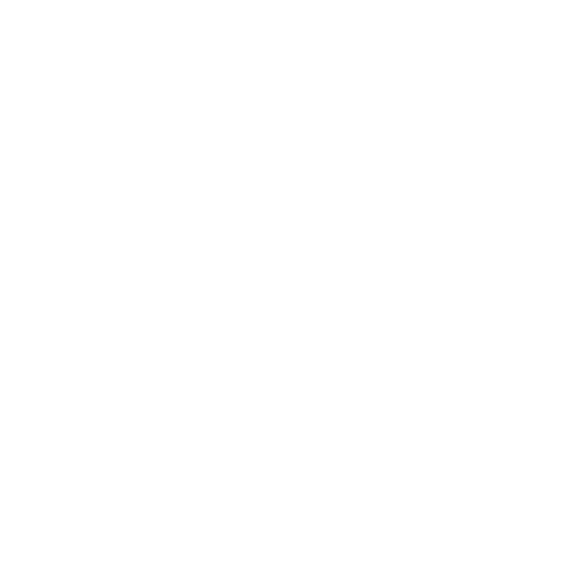 Bundesliga 2024-25 logo