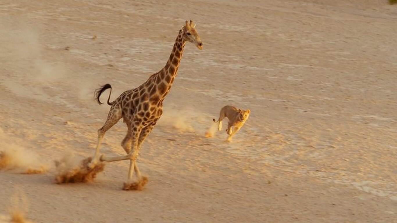 Deserts