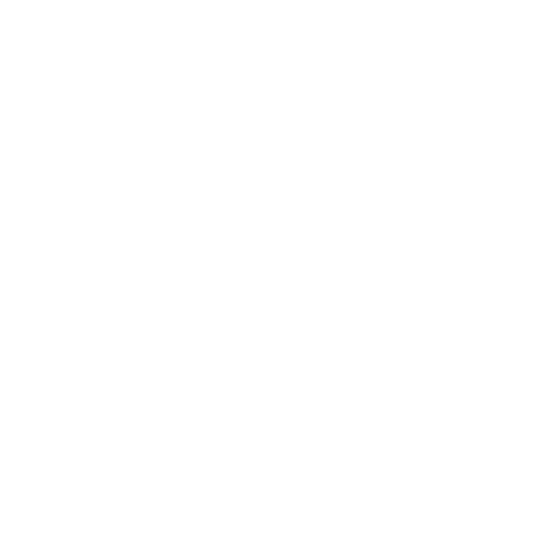 Salute logo