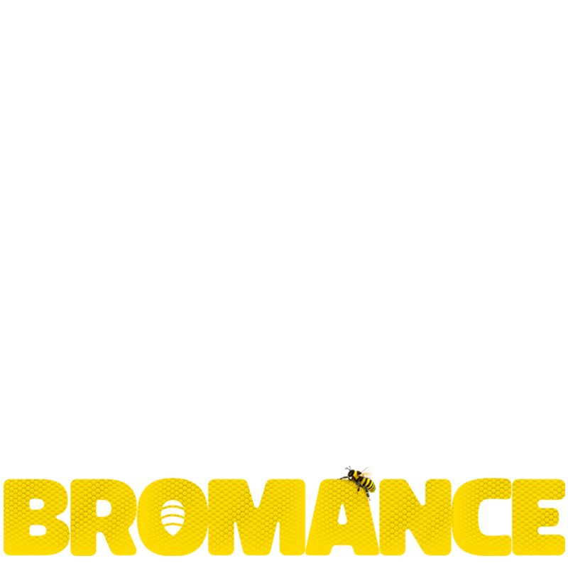 Bromance (Hindi) logo