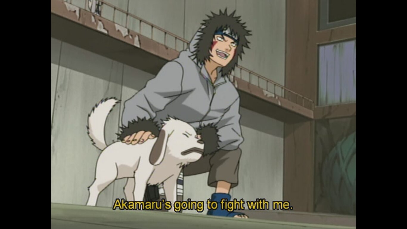 Akamaru Unleashed! Who's Top Dog Now?