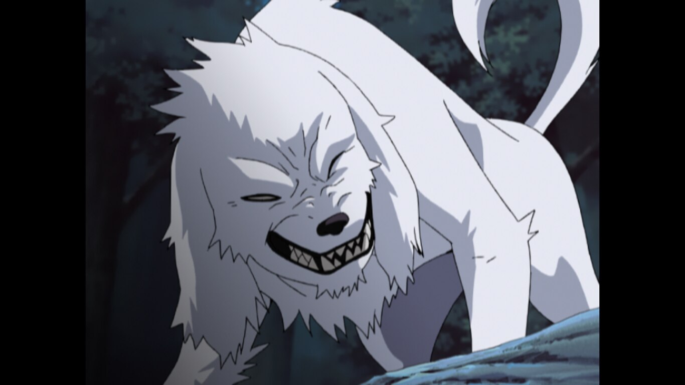 Kiba's Long Day