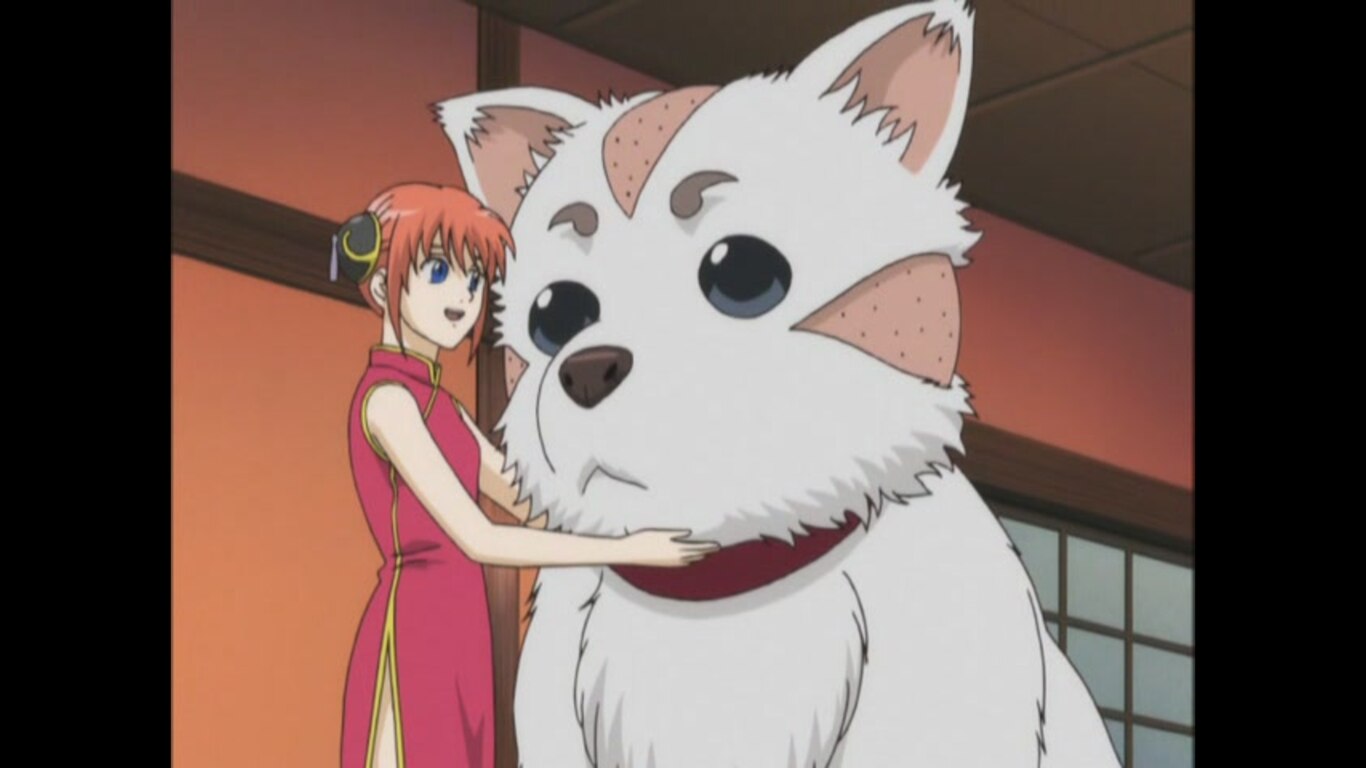 "A Dog's Paws Smell Fragrant" / "Drive With A "Might" Attitude"