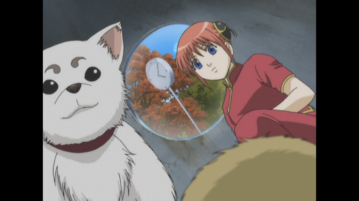 Cat Lovers and Dog Lovers Are Mutually Exclusive