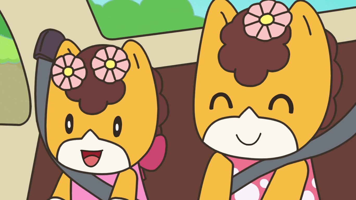 Meemi Meets the Meows and two others