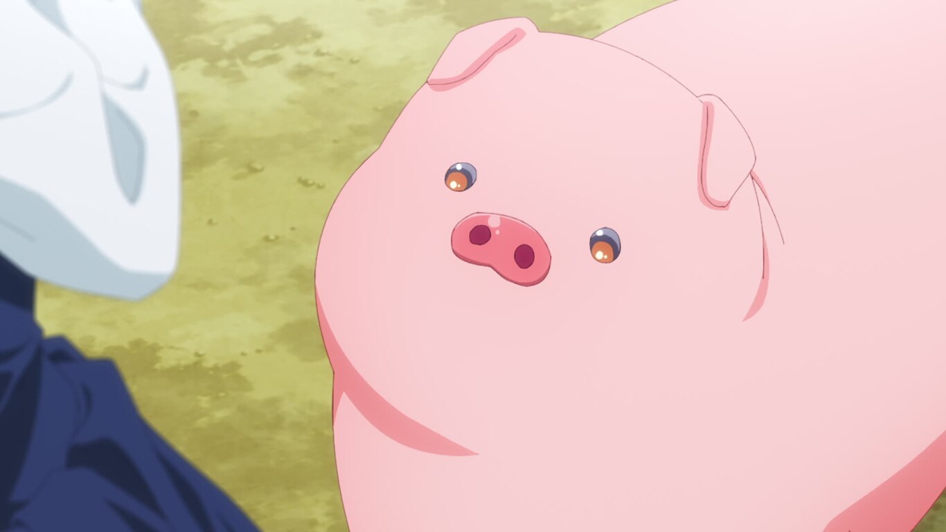 Otakus Enjoy Being Treated Like Pigs