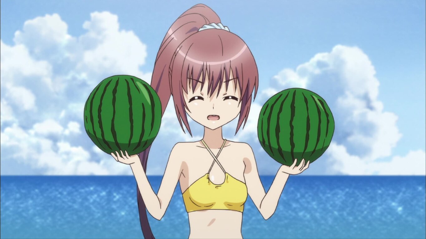 Summer Goods