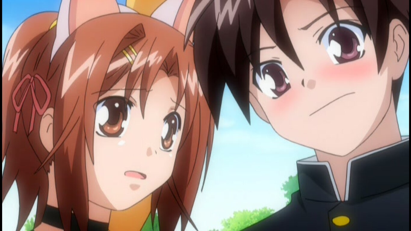 School Festival