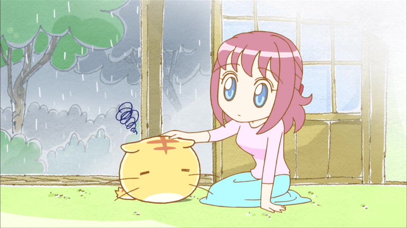Rain and Toads on Spheres