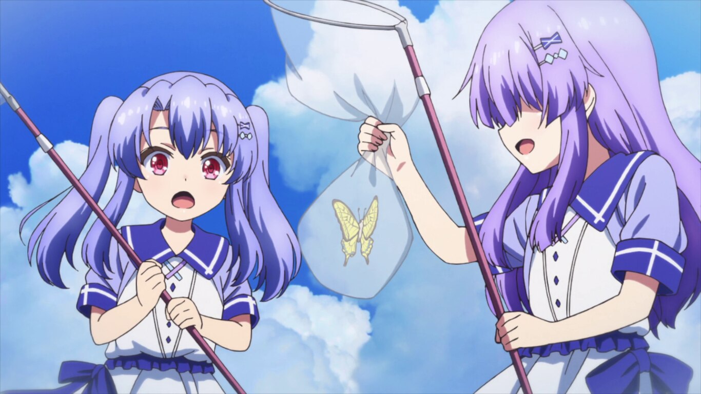 A Pair of Butterflies