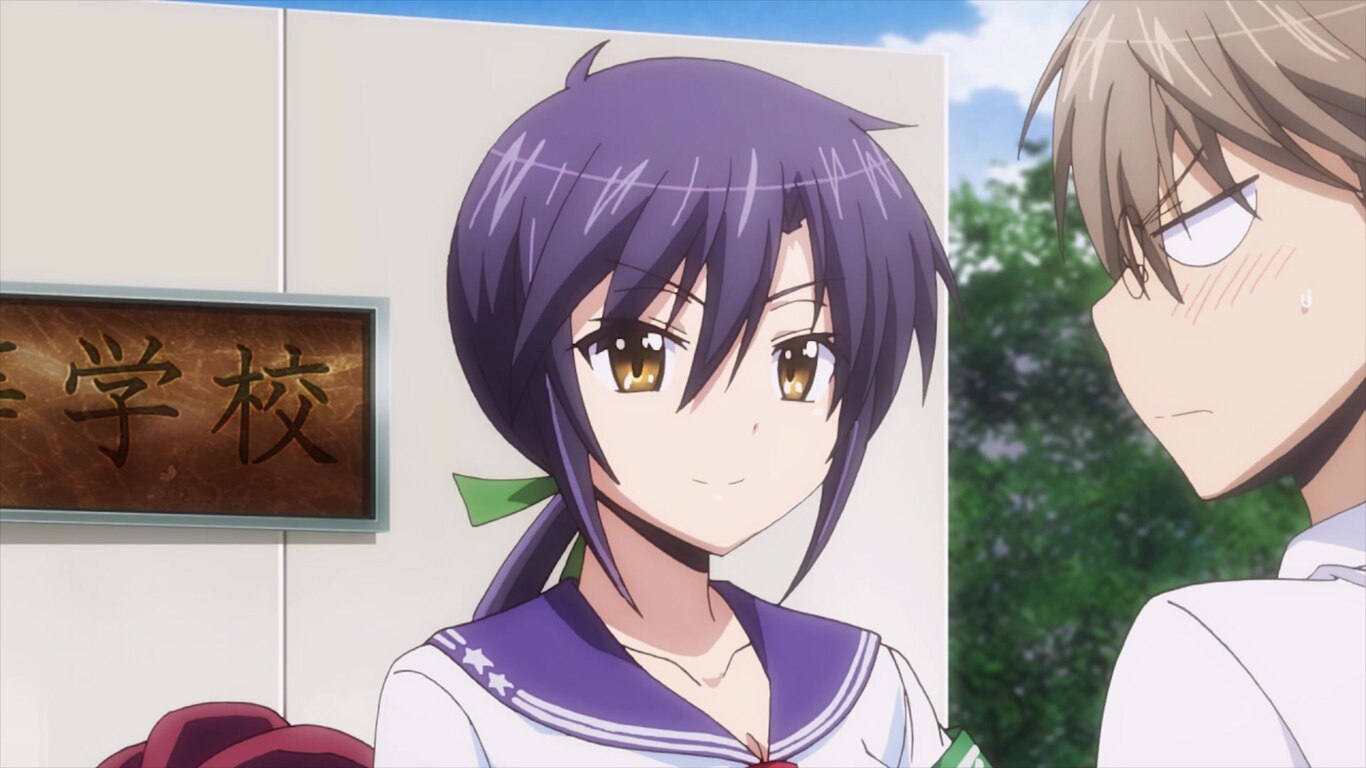 The Disciplinary Committee Head's Awakening