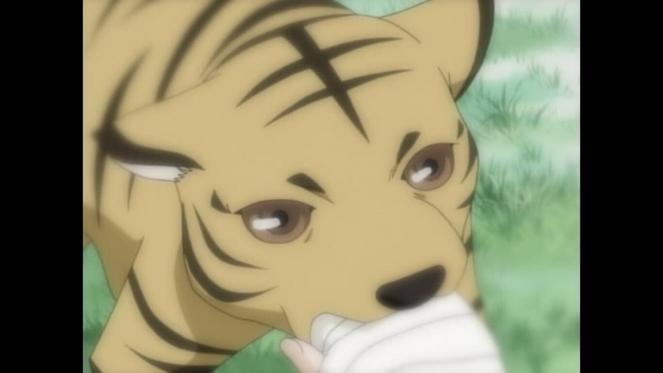Episode 17
