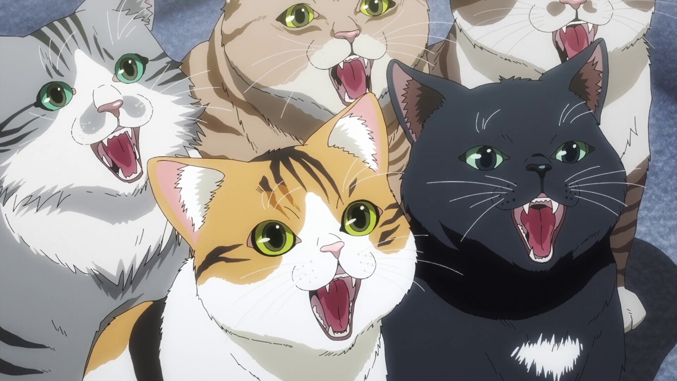 Cats in Prison