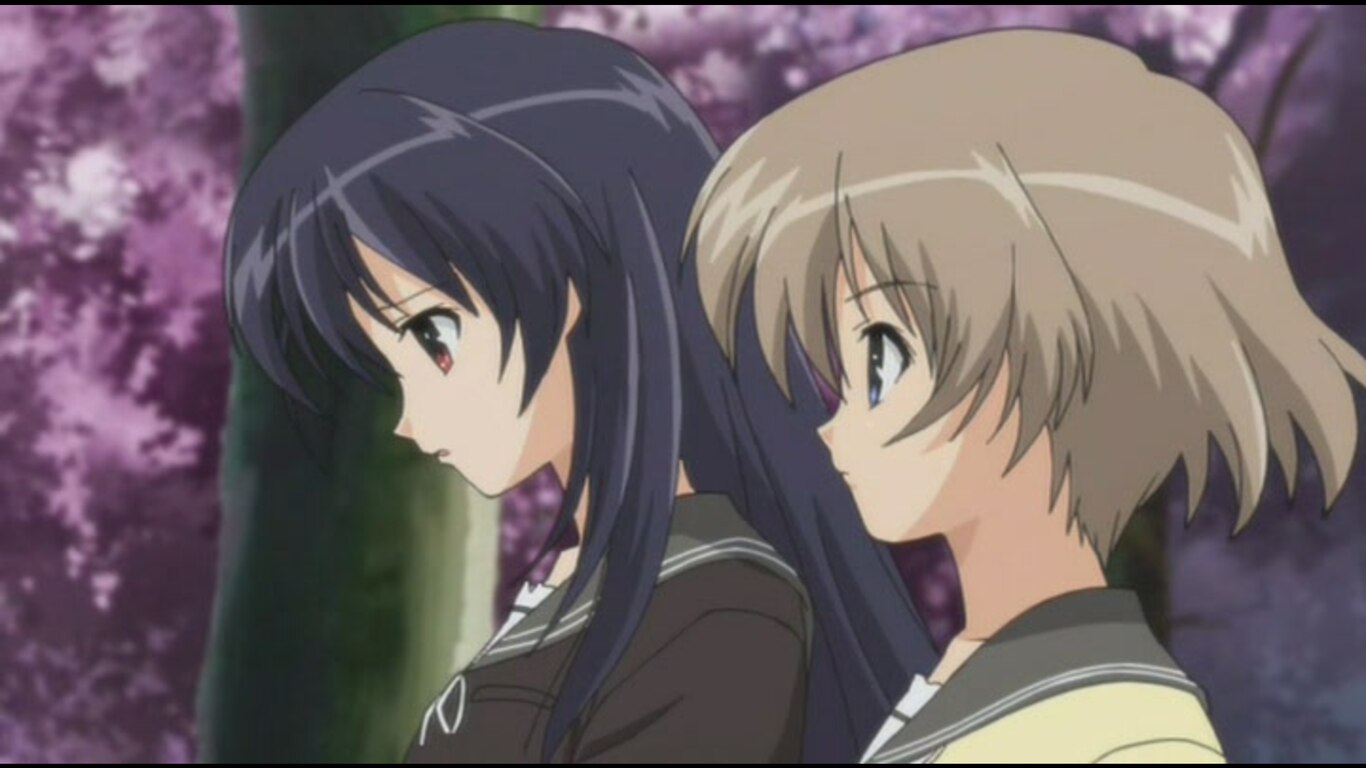 Non-blooming Sakura Blossoms