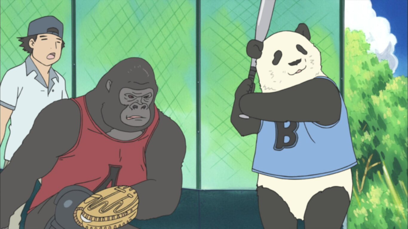 Animal Field Baseball