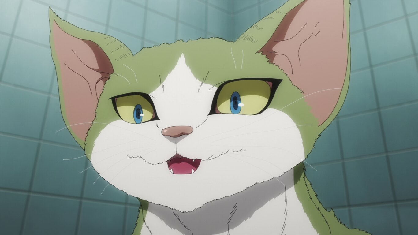 Commeowndo
