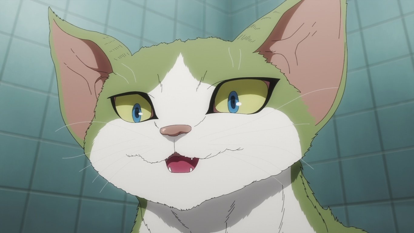 Commeowndo